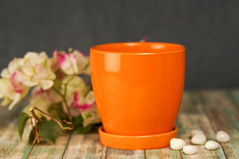 Ceramic table top planters