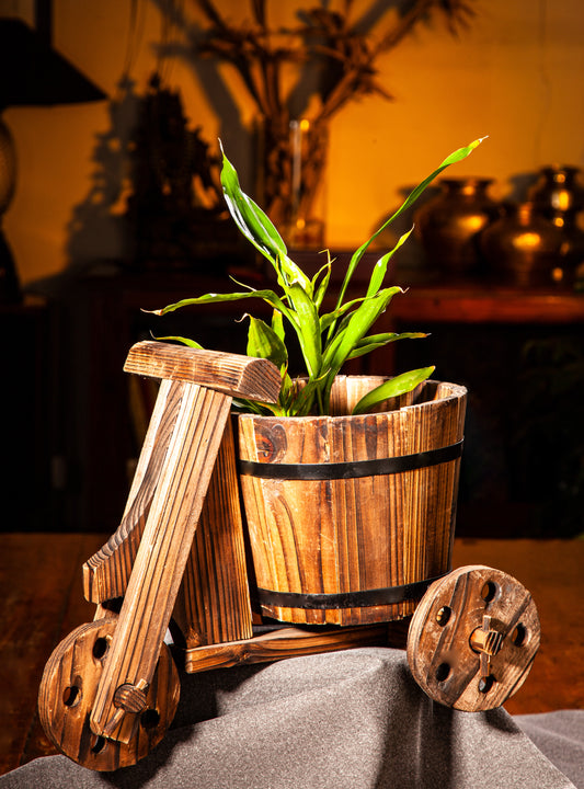Wooden Small Cycle Shape Pot Holder