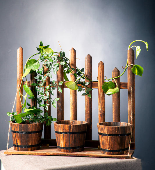 Wooden Horizontal Medium Size Three Pot Stand