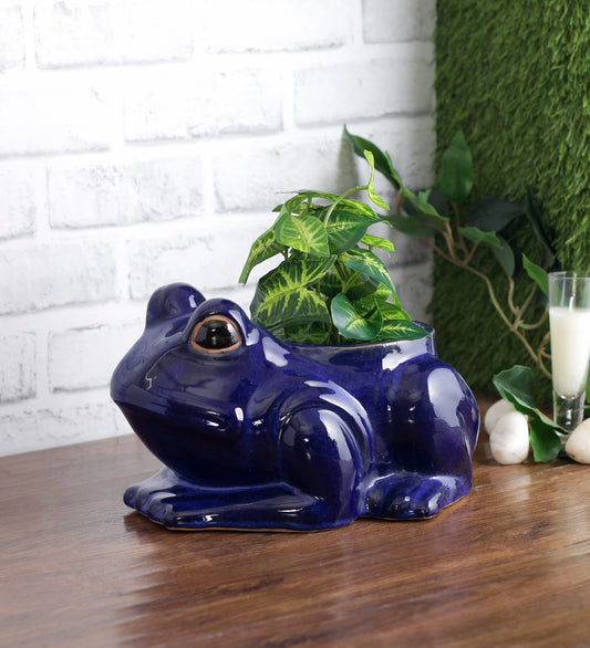 Ceramic Frog Shape Planter