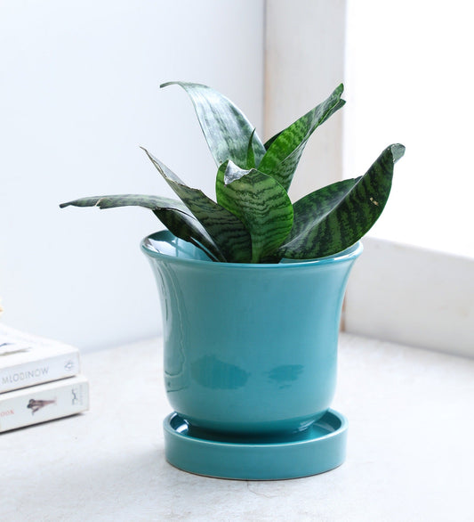 Glazed Ceramic Bell Shaped Tabletop With Saucer
