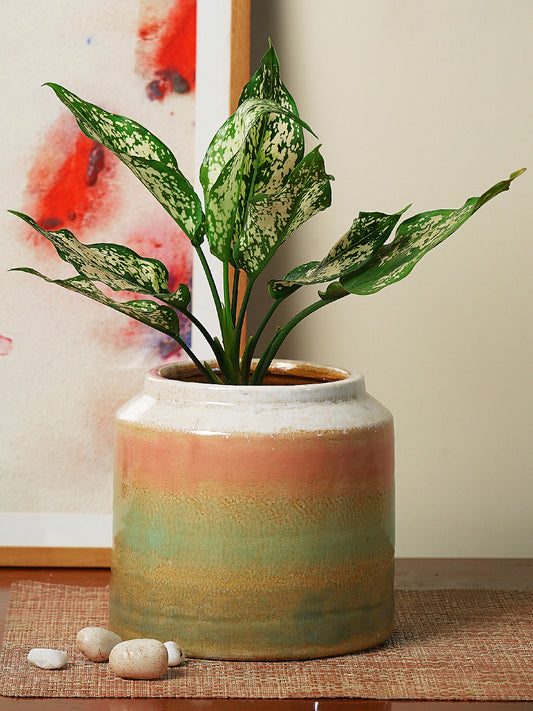 Two Tone Round Ceramic Flower Vase