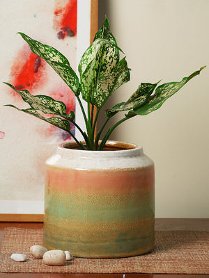 Two tone round ceramic flower vase