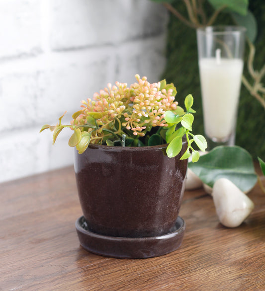 Glazed Ceramic Round Tabletop Pot With Saucer