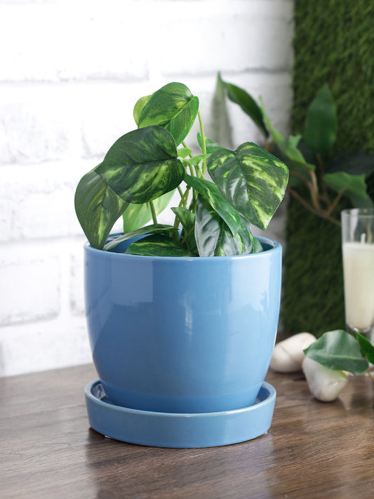 Glazed Ceramic Medium Tabletop Pot With Saucer