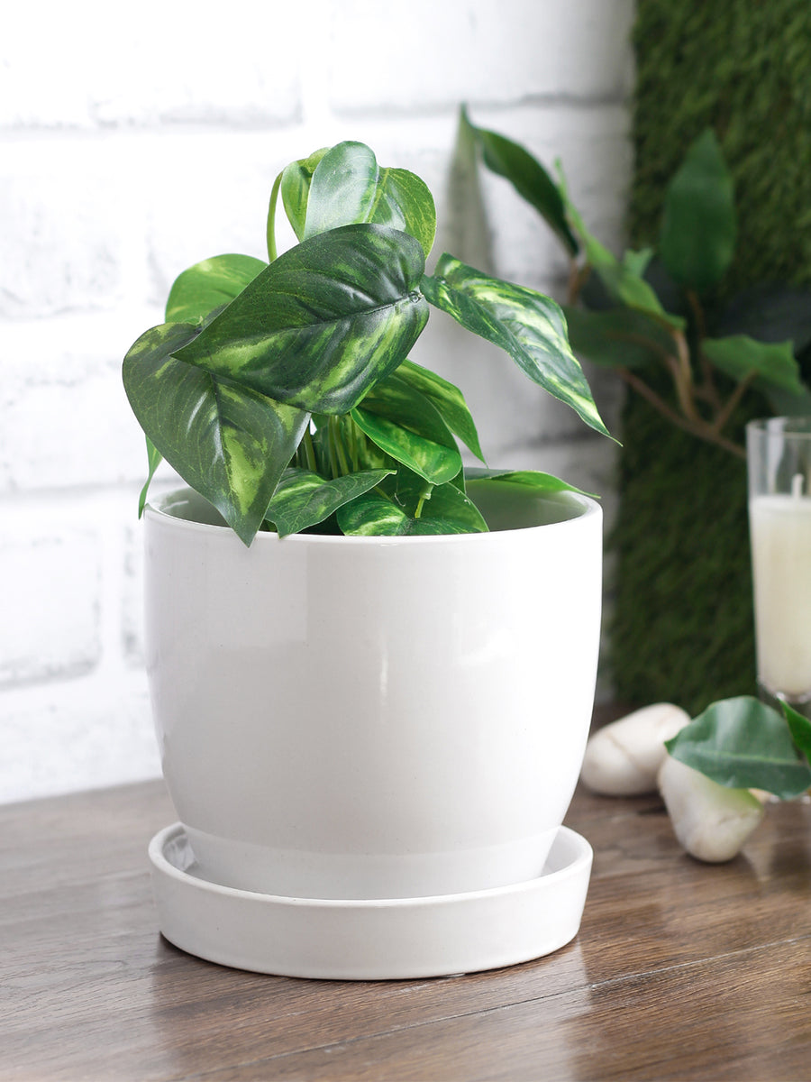 Glazed ceramic medium table top pot with saucer – Gaia Pottery In