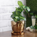  glazed copper