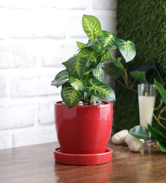 Glazed Ceramic Small Tabletop Pot With Saucer