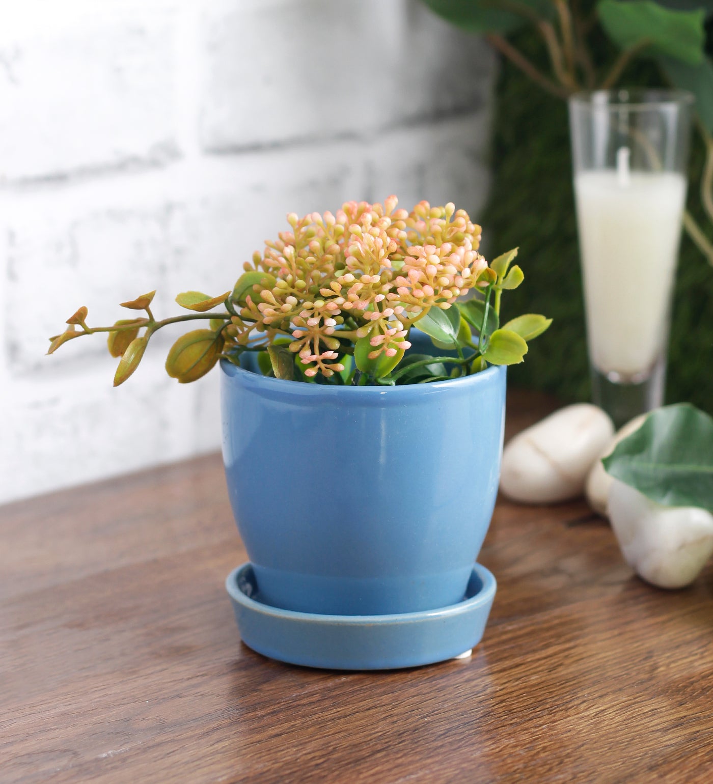 are glazed ceramic pots good for plants Glazed Ceramic Tabletop Mini Pot With Saucer