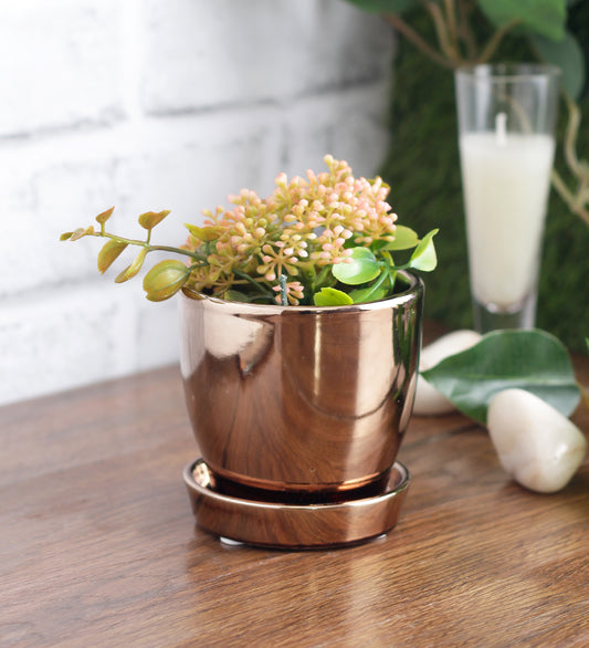 Glazed Ceramic Tabletop Mini Pot With Saucer