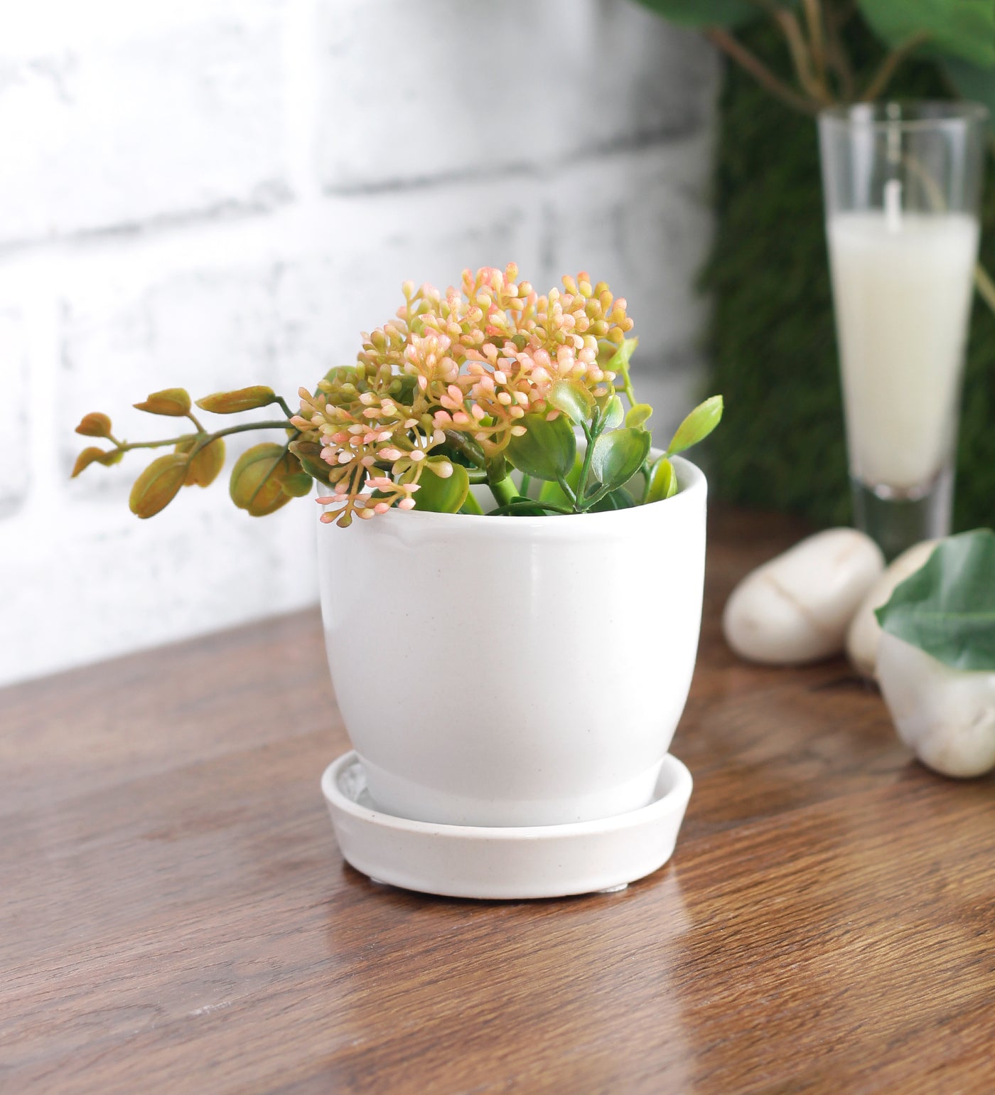 small white ceramic plant pots Glazed Ceramic Tabletop Mini Pot With Saucer