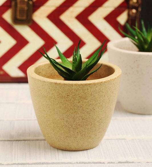 Ceramic Succulent Tabletop Pot