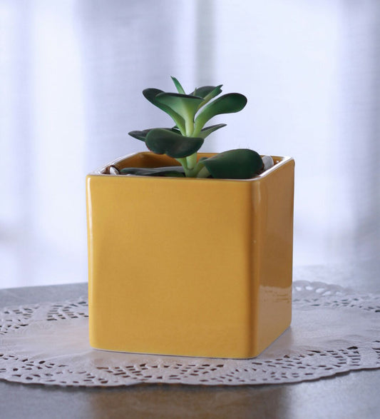 Glazed Ceramic Square Shaped Planter