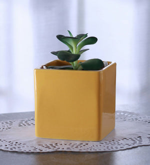 Glazed ceramic square shaped planter