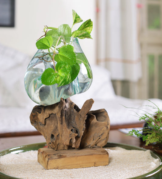Wood And Glass Plant Décor Jkid-1