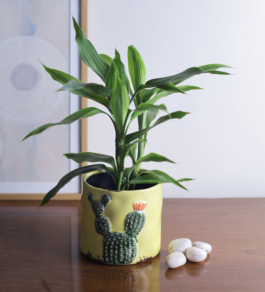 Yellow Shaded Cactus Vase