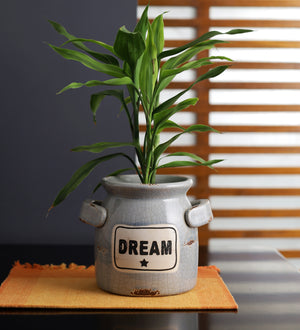 Dream vase