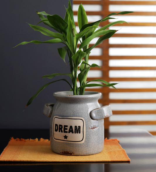 Dream Vase