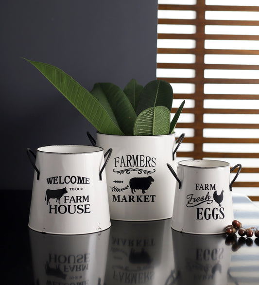 Fresh Farm Metal Vase Set Of 3