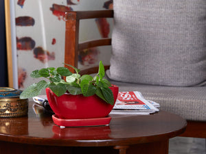 Rectangular ceramic small table top planter with saucer