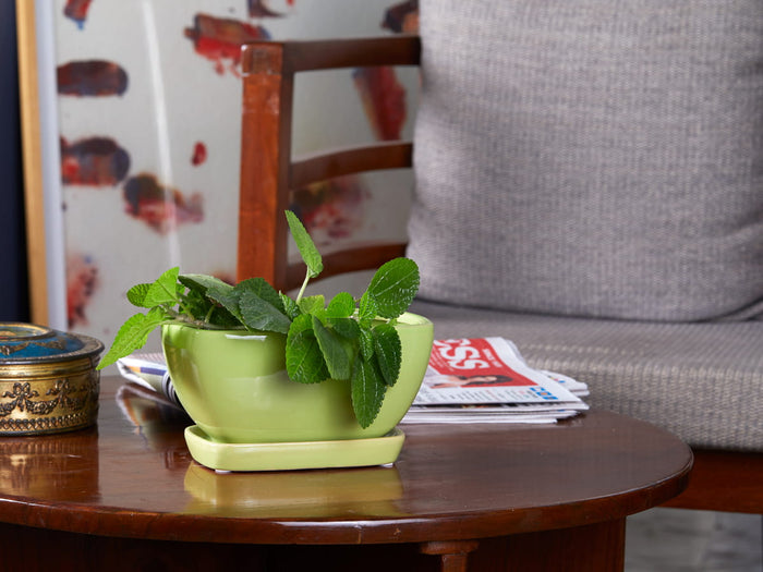 Rectangular ceramic small table top planter with saucer