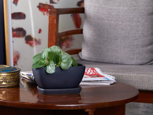 Rectangular Ceramic Small Tabletop Planter With Saucer