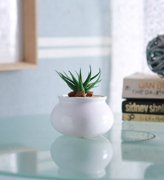 Glazed Ceramic Tabletop Pot