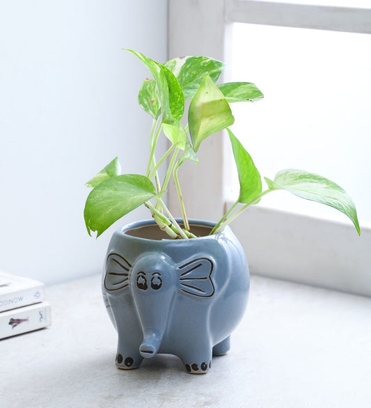 Glazed Ceramic Elephant Shape Planter
