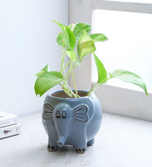 Glazed ceramic elephant shape planter