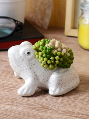 Ceramic mini frog planter