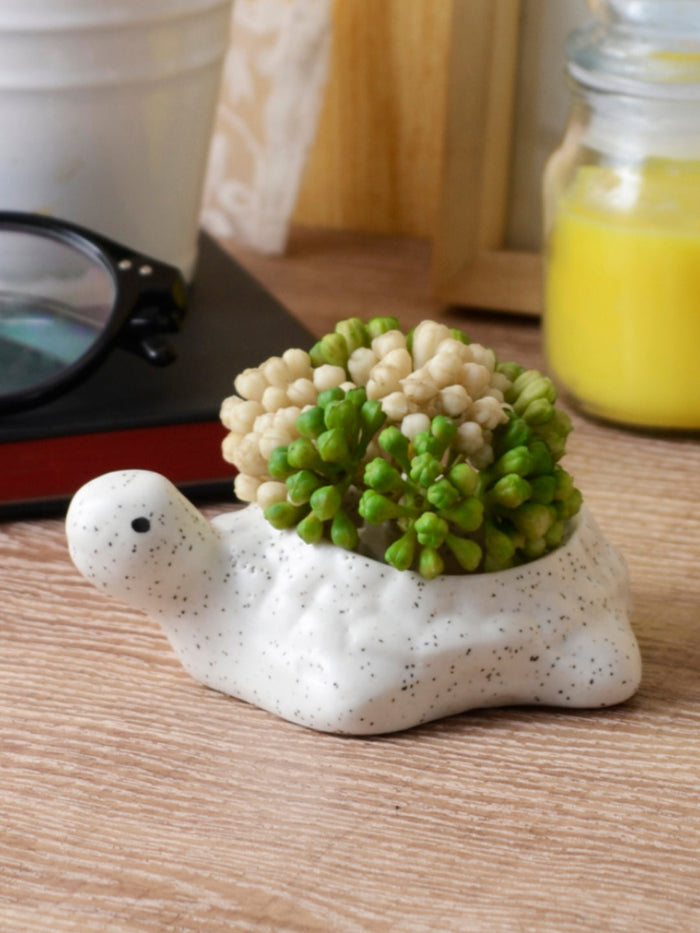 Ceramic mini turtle planter pot