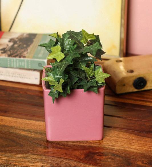 Glazed Ceramic Square Shaped Planter