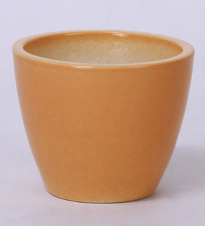 Ceramic succulent table top pot