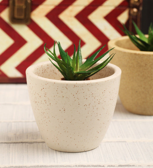 Ceramic Succulent Tabletop Pot