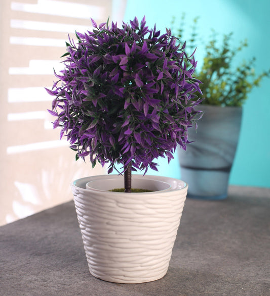 Glazed White Ceramic Tabletop